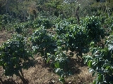 Vendo Terreno en Carretera al Salvador a 2km de Villas de Picaso  - Guatemala - Ciudad de Guatemala
