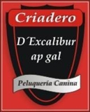 CURSOS DE  GROOMING CANINO   Y SEMINARIOS
