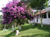 SITIO – MOGI DAS CRUZES – TAIAÇUPEBA