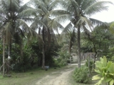 vendo  sitio