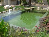 Jardín y Piscina, Diseño Construcción y Mantenimiento