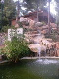 Jardín y Piscina, Diseño Construcción y Mantenimiento - Construcción - Barcelona - Todo