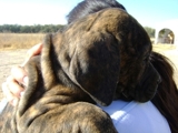 FILA BRASILEIRO
