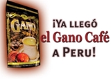 El Nuevo Café que está revolucionando a la Industria del Bienestar