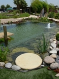 Diseño, Construcción de Jardines y Piscina Ecologicas. Cascadas etc