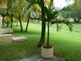 En Costa del Sol - Suite de Playa en alquiler - San Salvador - San Salvador