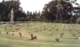 Venta lote funebre Jardines El Apogeo - Bogotá - Bogotá