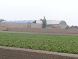 TERRENO INDUSTRIAL COMAS 15665 m2  - Sect. Chacra Cerro