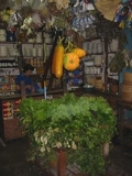 The best parent Augustinian of Brazil solution within 48 hours. - New York - New York