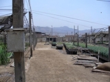 TERRENO INDUSTRIAL 12500 m2 EN AVENIDA - COMAS - Lima Metropolitana y Callao - Lima