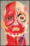 Face_thumb