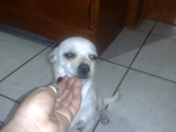 CHIHUAPISIMO BUSCA NOVIA SEXY!!!!!