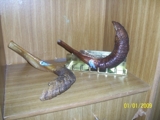 100_2450_thumb