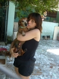HOTEL ASAEL NATÃ PARA SEU PET ( CACHORRINHO OU GATINHO)