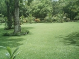 Vendo hermosa propiedad en PUNTA ISLITA - General - San José - Alajuela
