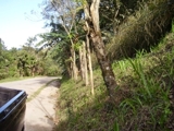 Propiedad ubicada en Yasika Sur, Matagalpa Vendida