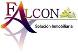 Falcon_más_grande_thumb