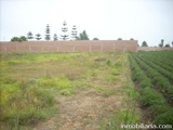 VENDO TERRENO DE 20MIL M2 EN PLENA AUTOPISTA – (LURIN) US$30 X M2