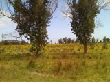 Img_thumb