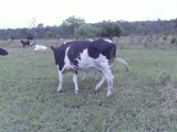 Imagem_120_thumb