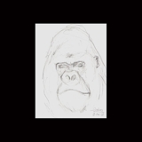 Gor3_thumb