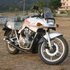 Moto1_thumb