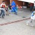 Juegos Counter Strike - Entretenimiento para Fiestas Infantiles - Distrito Capital - Caracas