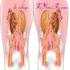 HAVAIANAS COM FOTO, TEXTOS,PEDIDOS EM NAMORO, ETC...
