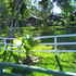 24-06-08_092709_thumb