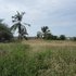 Vendo terreno para proyecto turistico en La Cruz 