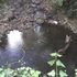 Finca Cafetalera ubicada en Agua María el Tuma Matagalpa. - Managua - Managua