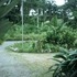 Terreno cercano a las playas del caribe. 