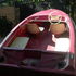 lancha speedboat de fibra / trailer / comandos/ especial recreacion