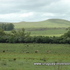 Dsc_5587_thumb