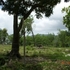 BIENES RAICES VENDE, REF: FN002 - El Cupey Puerto Plata 