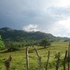 GRAN OPORTUNIDAD, REF; FN003 - El Cupey Puerto Plata 