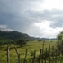 GRAN OPORTUNIDAD, REF; FN003 - El Cupey Puerto Plata  - Puerto Plata - San Felipe de Puerto Plata