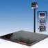 Basculas Electronicas de 1000 Kg