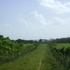 DE OPORTUNIDAD, REF:  FJ160 - Cabrera  - Puerto Plata - San Felipe de Puerto Plata