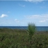 PARAMOUNT PROPERTIES VENDE, REF:  FJ159 - Cabrera 