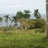 MARAVILLOSOS TERRENOS, REF: FN012 - Cabrera  - Puerto Plata - San Felipe de Puerto Plata
