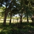 VENDO, REF: FN008 - Puerto Plata  - Puerto Plata - San Felipe de Puerto Plata