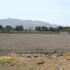 TERRENO 7400 m2 en AVENIDA SANTA ANA - COMAS (sector chacra cerro)