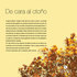 Sensia Cosmeticos incorpora vendedoras - Montevideo - Montevideo