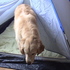 Jer_012_thumb