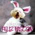 www.lovpuppies.webs.com