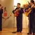 TRIO romantico musical para festejar a MAMA