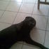 Imagen000_thumb