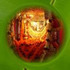 Dhyansanjivani ( Nakshatra Puja )