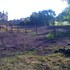 VEJAR Y ASOCIADOS  TERRENO SOBRE AUTOPISTA PATZCUARO 1000M2.
